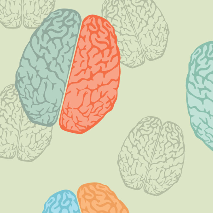 Pastel illustrations of brain anatomy by Yuliya_Lesovaya via iStockPhoto
