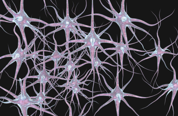 Illustrations of firing neuron network by 7activestudio via iStock