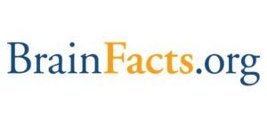 Brain Facts Web